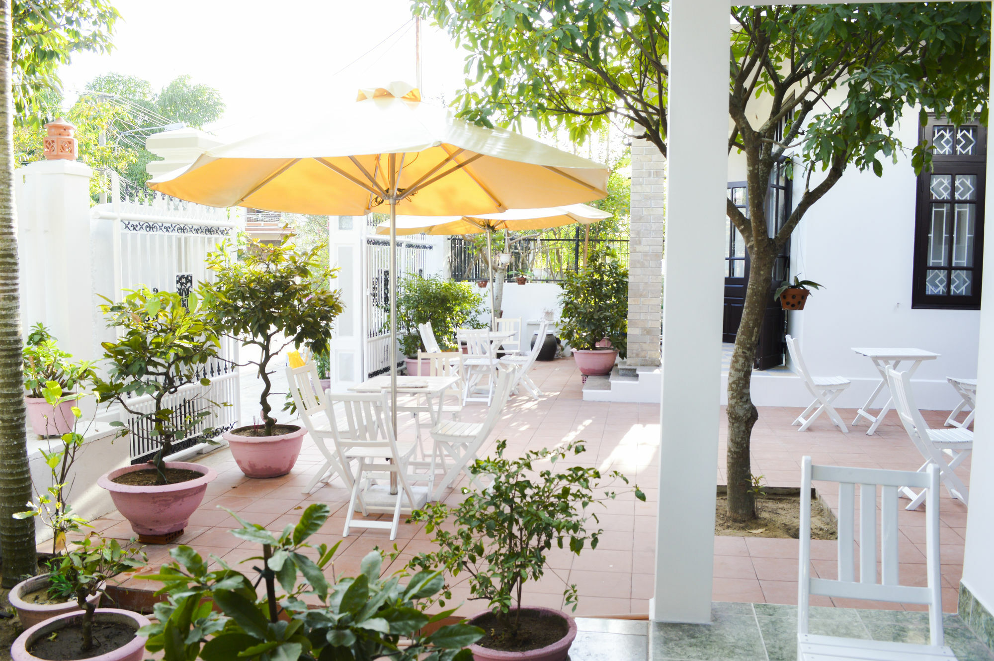 Halo Homestay Hoi An Exterior photo